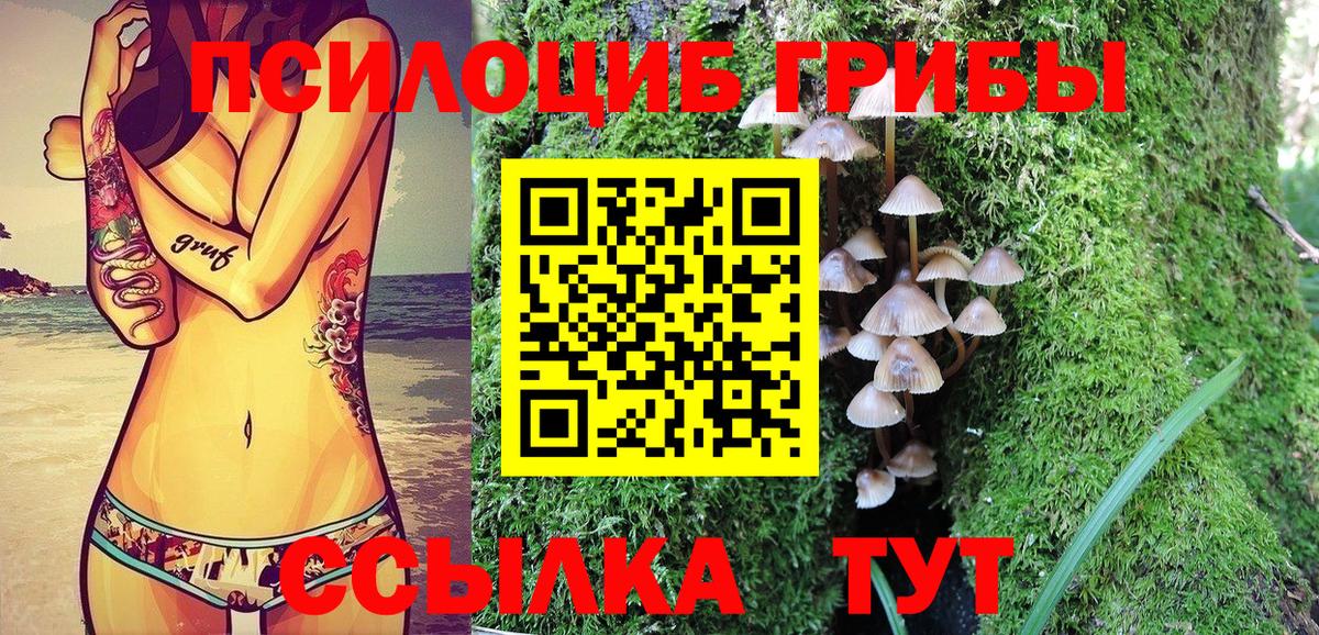 Псилоцибиновые грибы Cubensis Чебаркуль