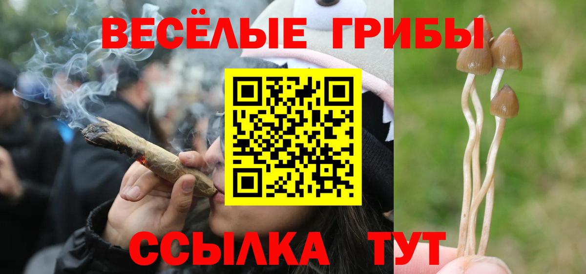 наркотики  Вход с VPN  Чебаркуль  Псилоцибиновые грибы Psilocybine cubensis 